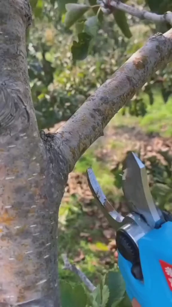 TIJERA DE PODAR RECARGABLE